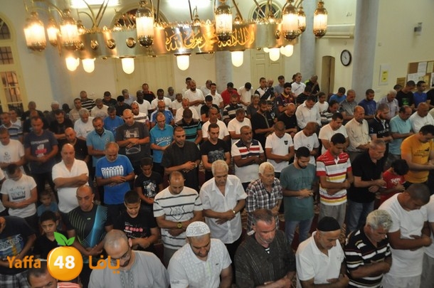 tarawe7 nozhas j (1).JPG